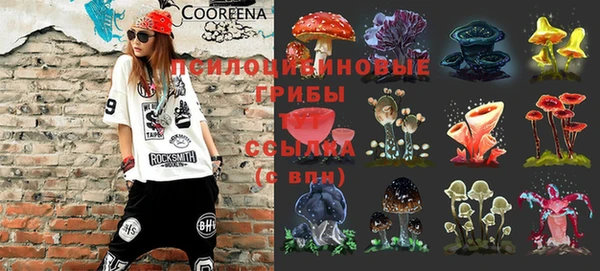 бошки Медногорск