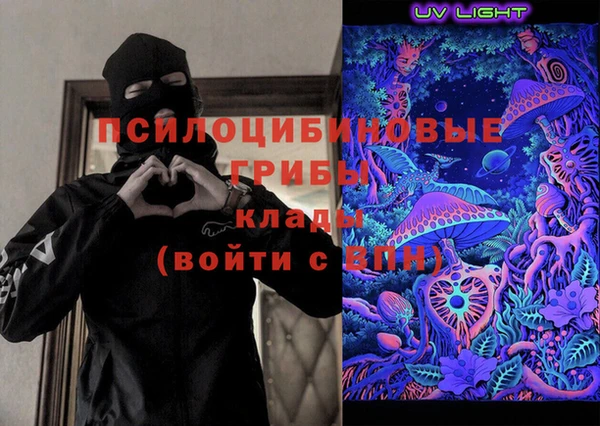 бошки Медногорск