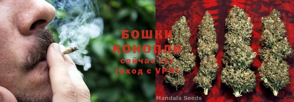 бошки Медногорск