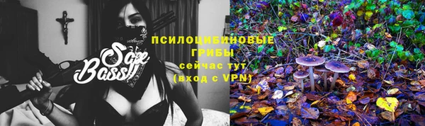 бошки Медногорск